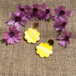 Flore d'Olympe - La N°66